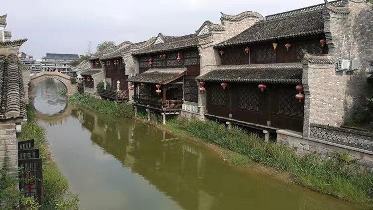 探寻吉鹿力问答社区,解锁专属中时电子报乐园